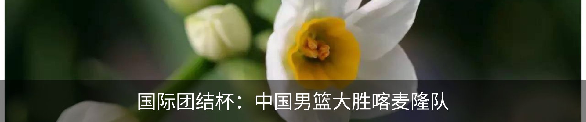 内页banner